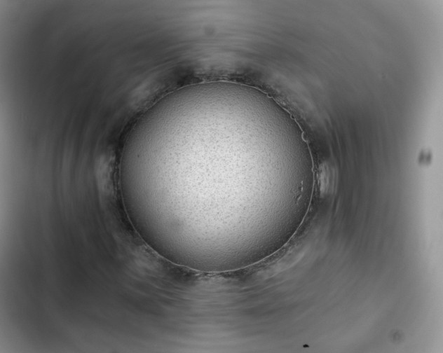 X0000102851059200808251157