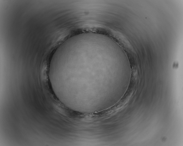 X0000102851060200808251157