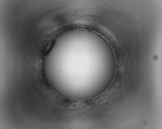X0000102851061200808251157