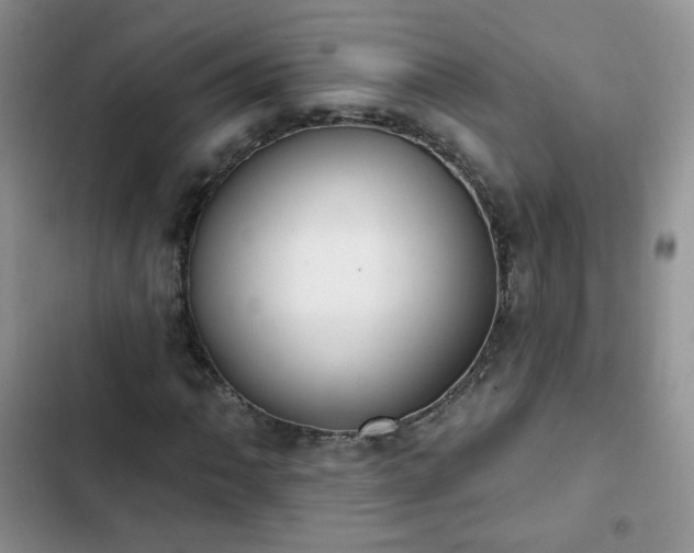 X0000102851062200808251157