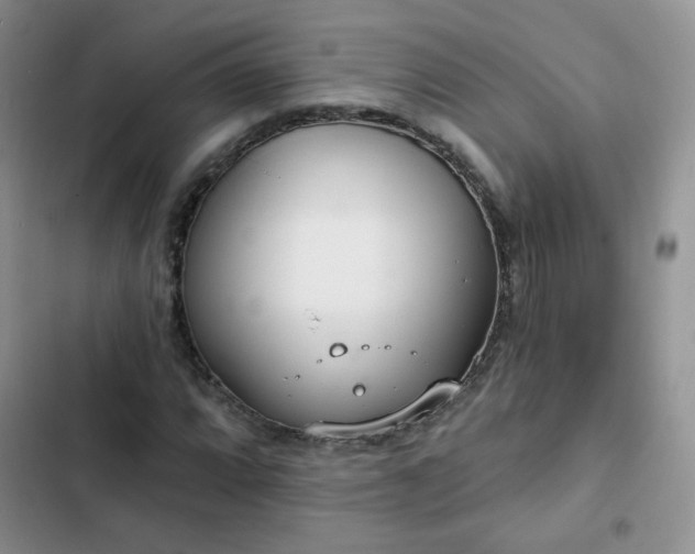 X0000102851064200808251157