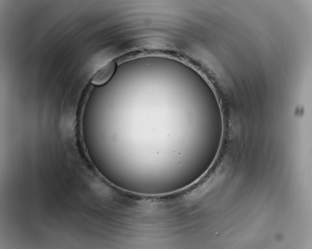 X0000102851065200808251157