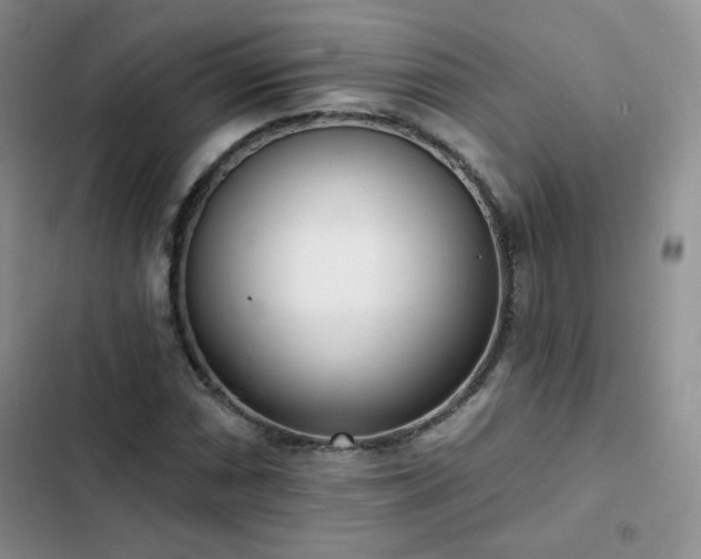 X0000102851066200808251157