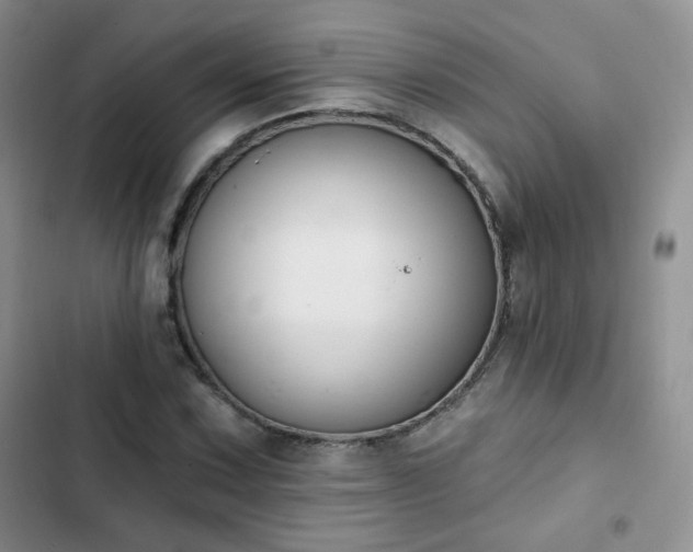 X0000102851067200808251157