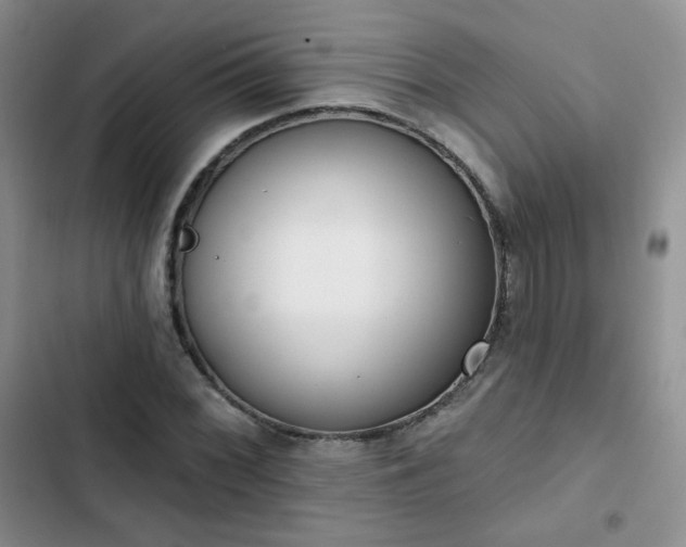 X0000102851068200808251157