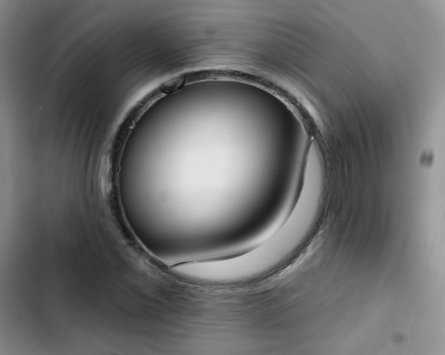 X0000102851069200808251157