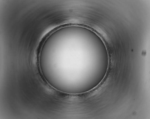 X0000102851070200808251157