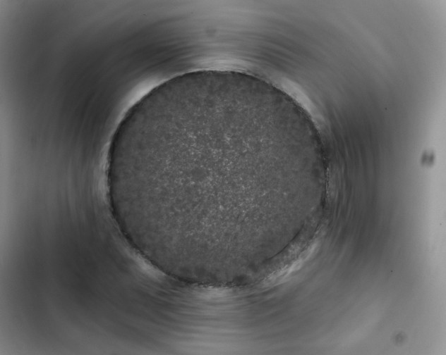 X0000102851071200808251157