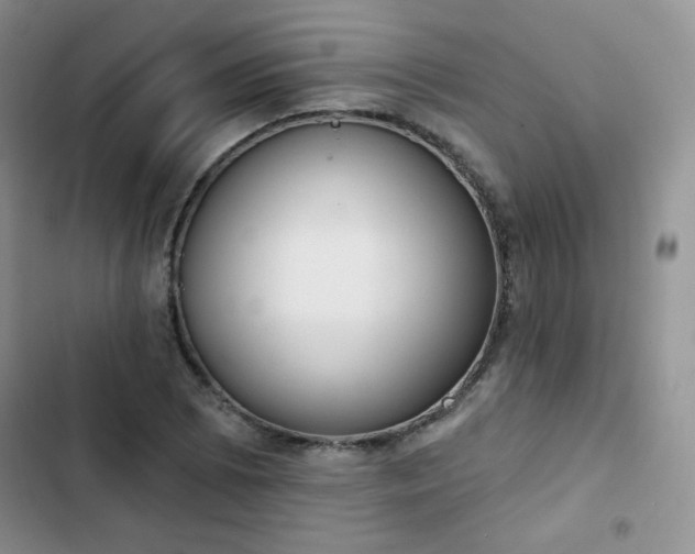 X0000102851073200808251157