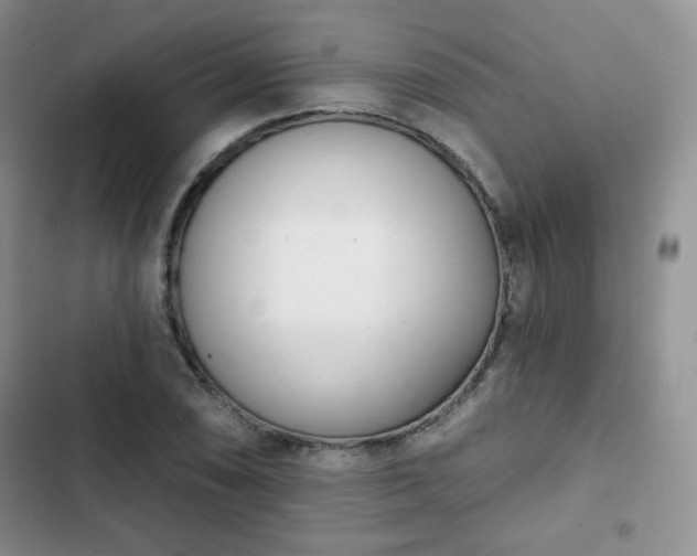 X0000102851074200808251157