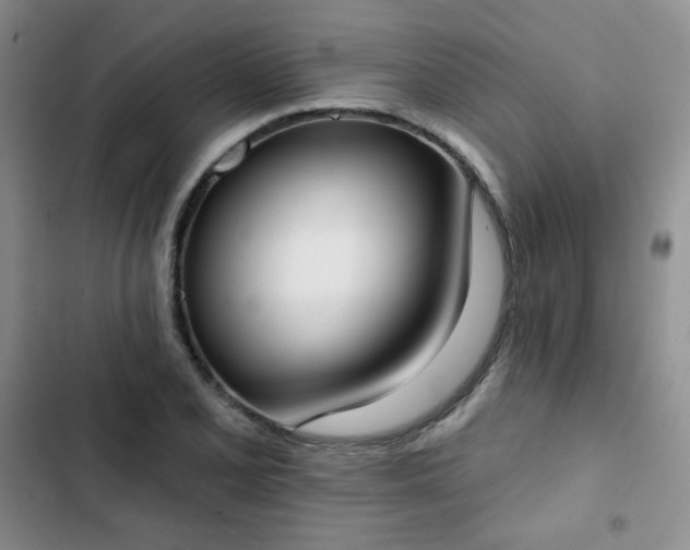 X0000102851077200808251157