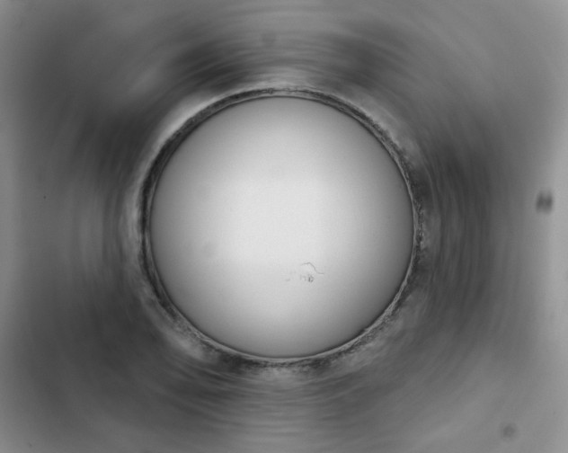 X0000102851078200808251157