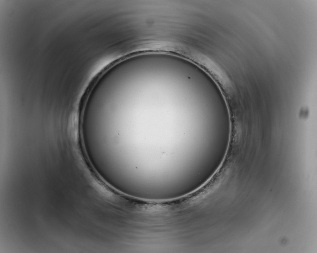 X0000102851079200808251157