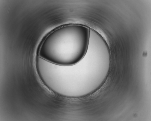X0000102851080200808251157