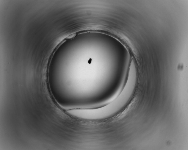 X0000102851081200808251157