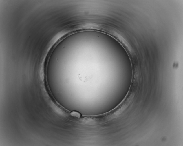 X0000102851082200808251157