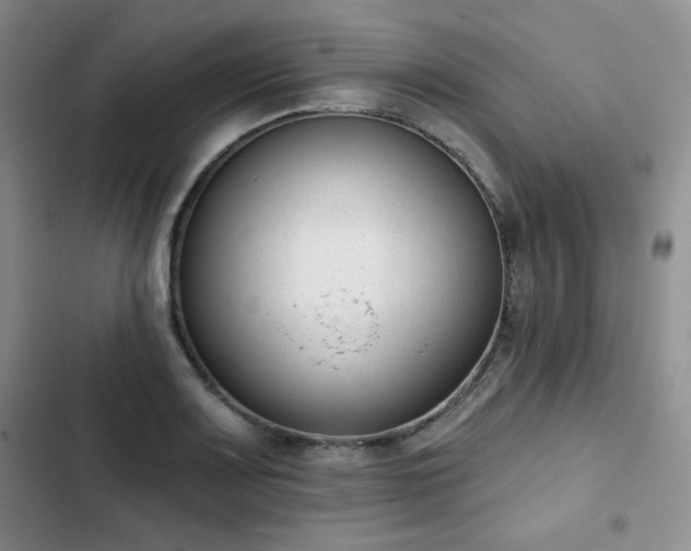 X0000102851083200808251157