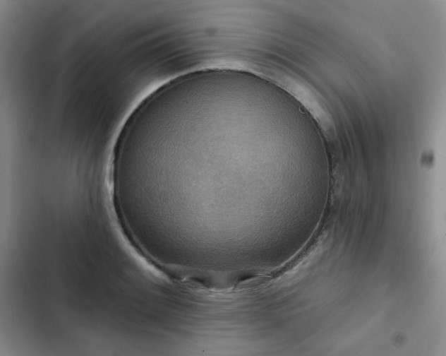 X0000102851084200808251157