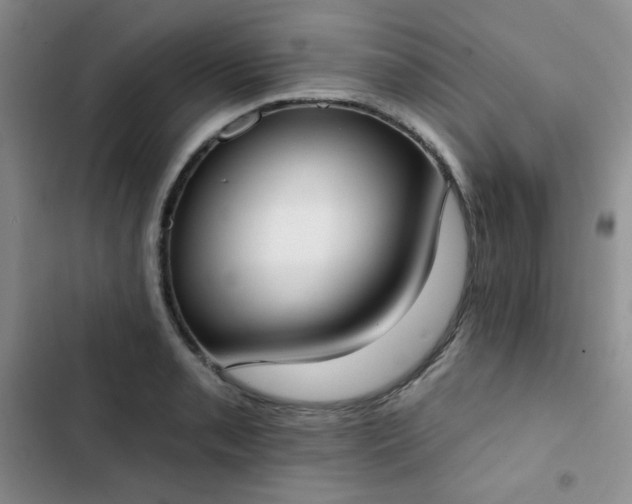 X0000102851085200808251157