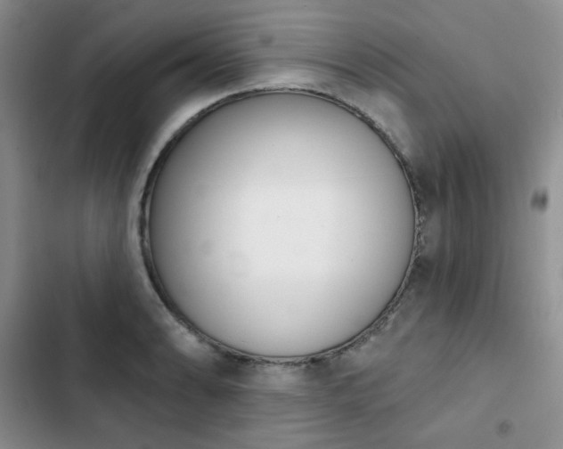 X0000102851086200808251157