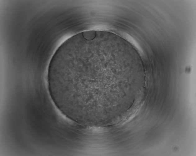 X0000102851087200808251157