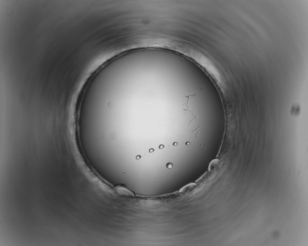 X0000102851088200808251157