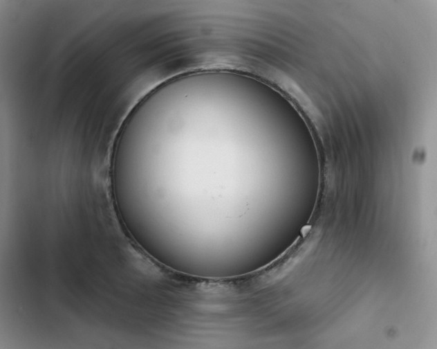 X0000102851089200808251157