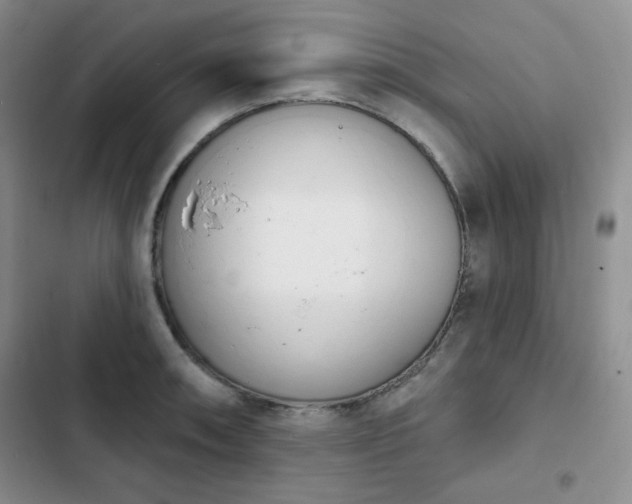 X0000102851090200808251157