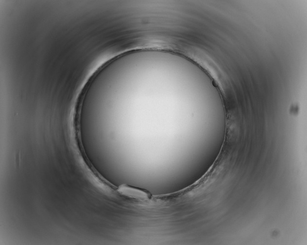 X0000102851091200808251156