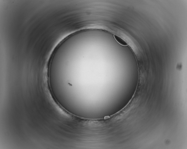 X0000102851092200808251156