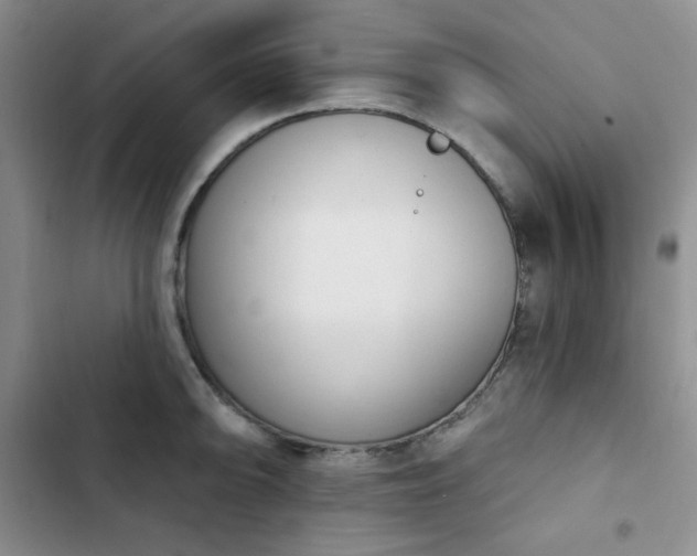 X0000102851094200808251156