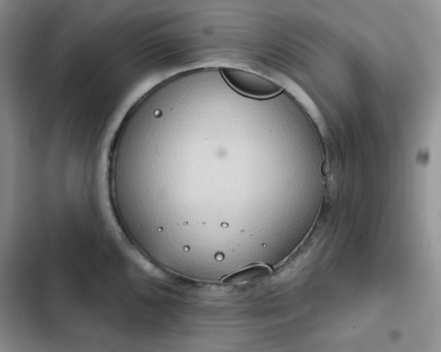 X0000102851096200808251156