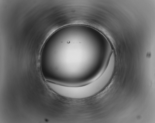 X0000102851097200808251156