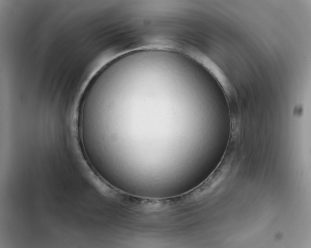 X0000102851099200808251156