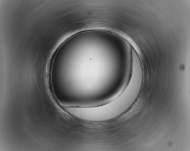 X0000102851101200808251156
