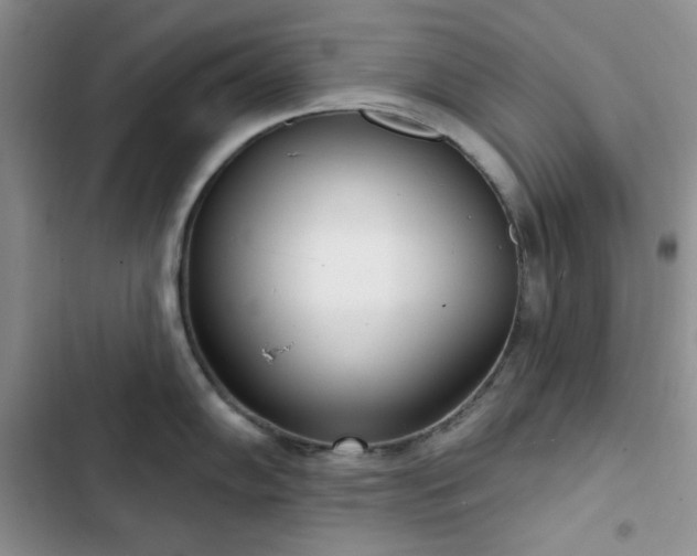 X0000102851102200808251156