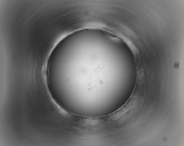 X0000102851103200808251156