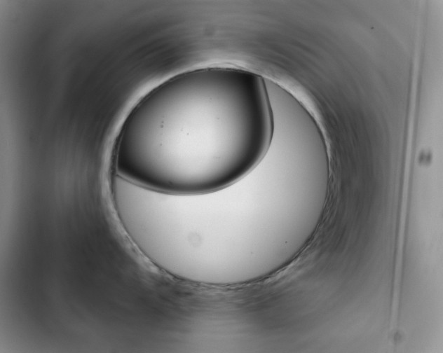 X0000102851104200808251156