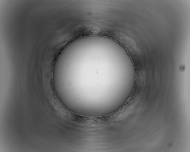 X0000102851105200808251155