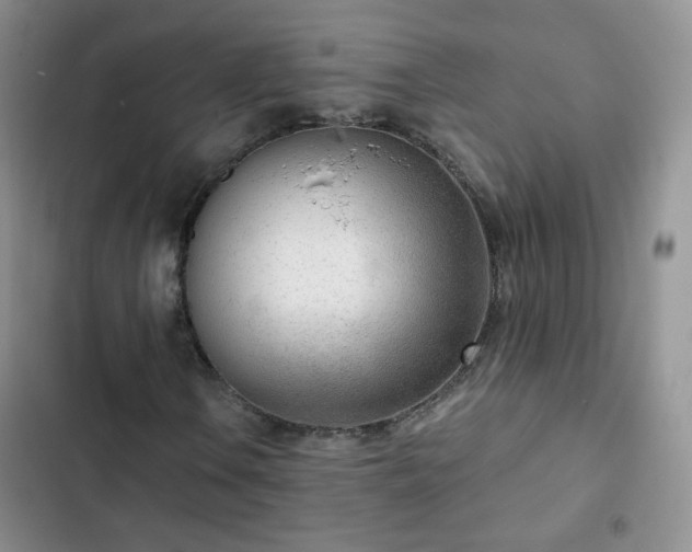 X0000102851106200808251155