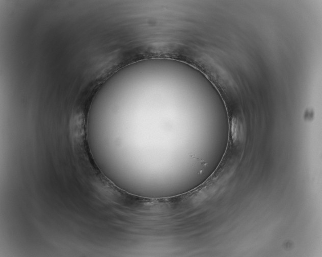 X0000102851107200808251155