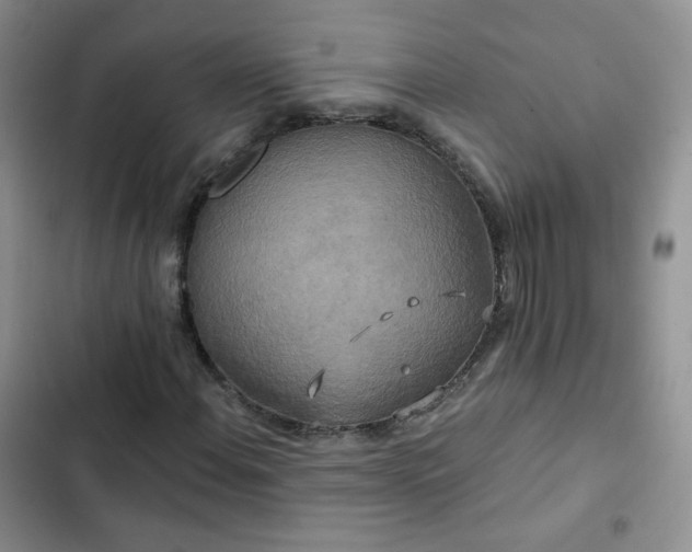 X0000102851108200808251156