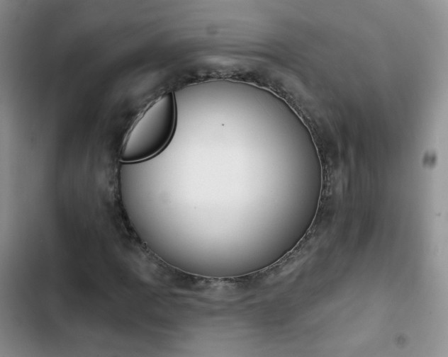 X0000102851109200808251156