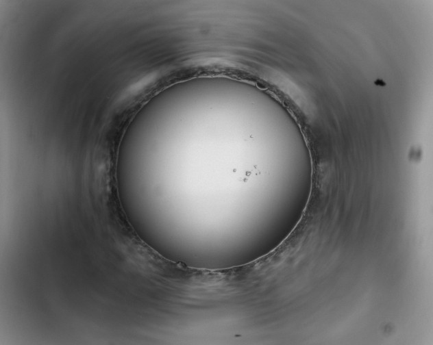 X0000102851111200808251156