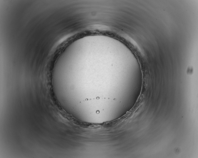 X0000102851112200808251156