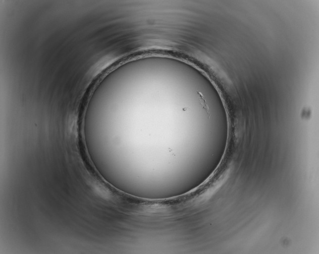 X0000102851113200808251156
