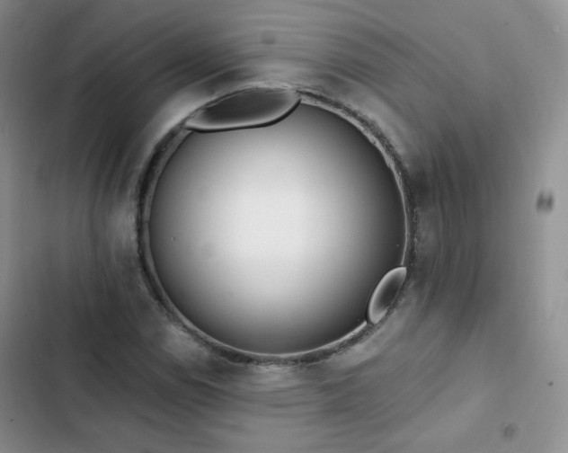 X0000102851114200808251156