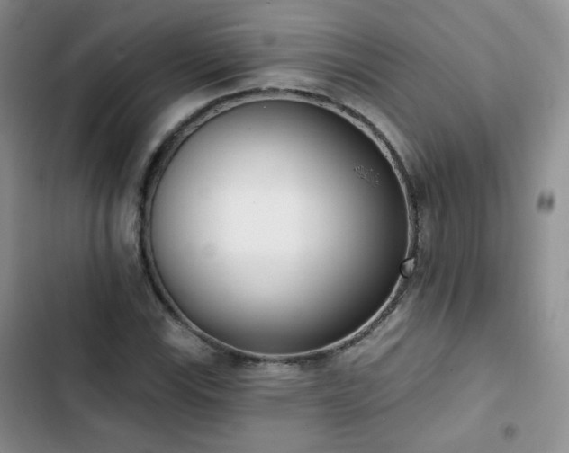 X0000102851115200808251156