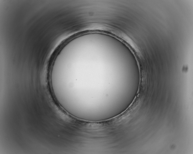 X0000102851116200808251156
