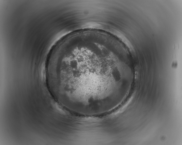 X0000102851117200808251156